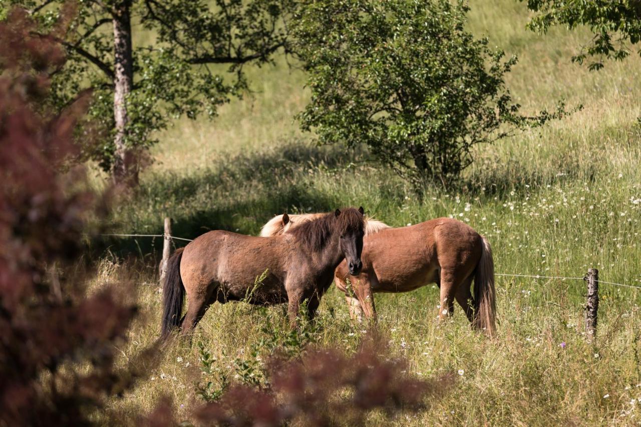 Homestead Farm Tesnak Gorenja Vas  Eksteriør bilde